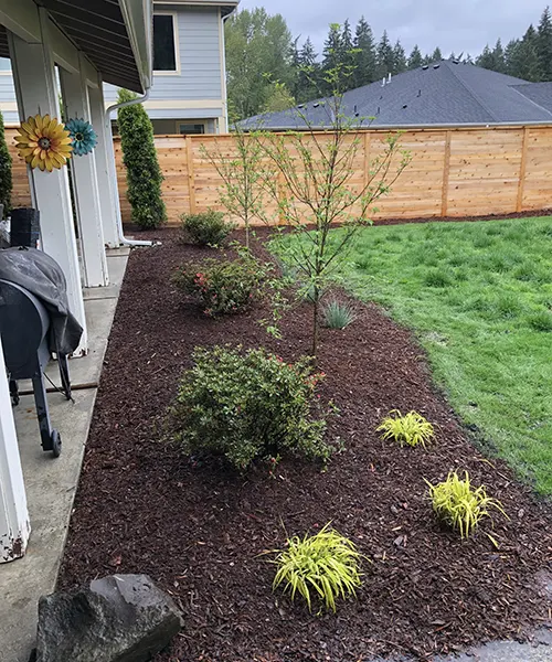 New Lawn Installation in Seattle 